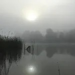 펜션 Mazurowka Romana 스파이초보