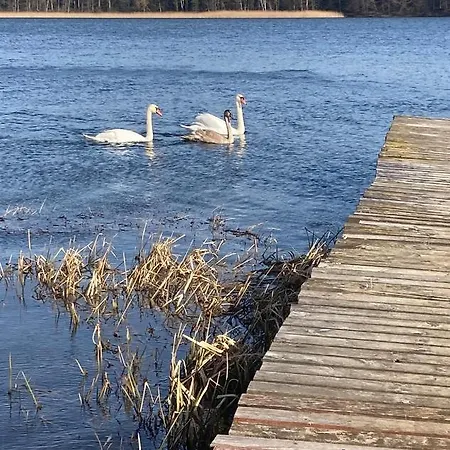 Dom wakacyjny Mazurówka Romana