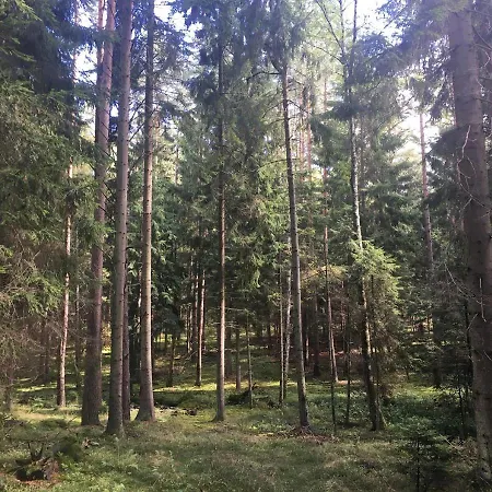 Dom wakacyjny Mazurówka Romana