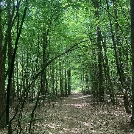 Mazurówka Romana Spychowo